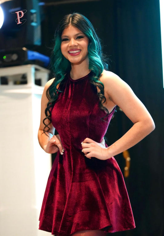 DAIRY BURGUNDY DRESS